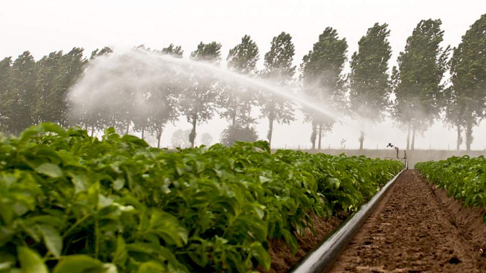 Irrigation agricole